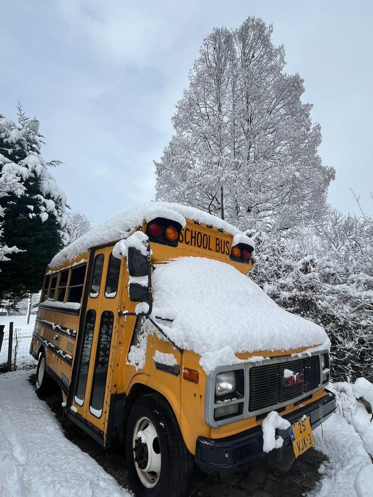 Schoolbus/ gave camper 4 persoons te koop, Particulier, Buscamper of Camperbus