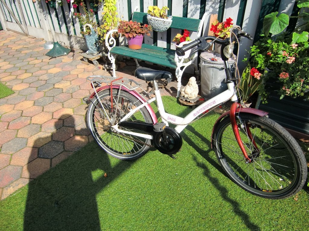 Meisjesfiets, "" ,Batavus, Fietsen en Brommers, Ophalen, Terugtraprem, 22 inch, Gebruikt