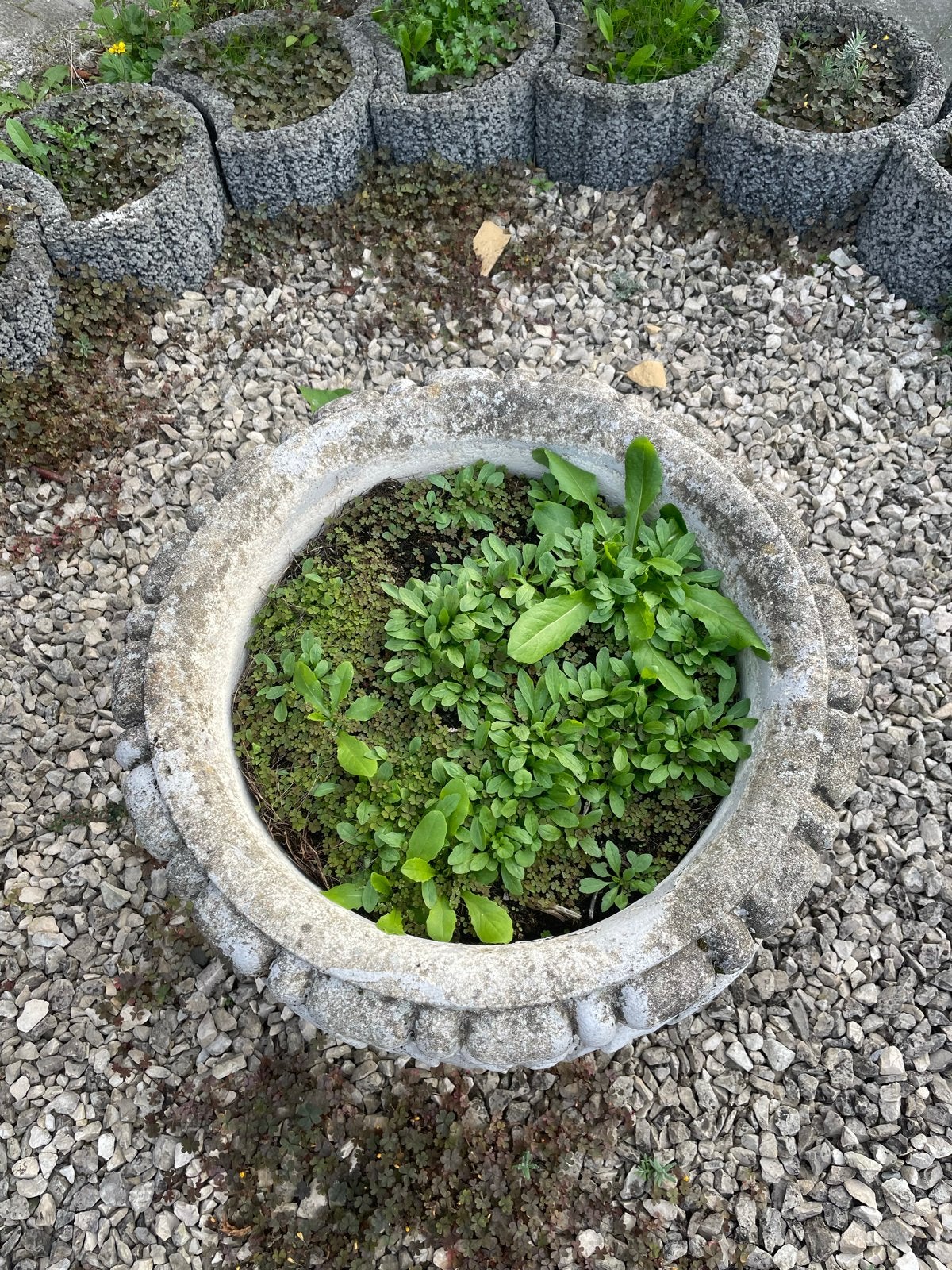 Klassieke plantenpot op voet, landelijke stijl, Ophalen, Gebruikt, 40 cm of meer, Rond