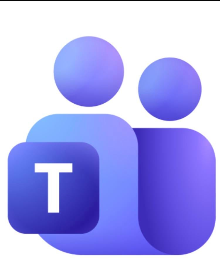 Dutch lessons ONLINE TEAMS NT2 Inburgering Staatsexamen, Diensten en Vakmensen, Bijles, Privé-les en Taalles, Privéles, Bijles