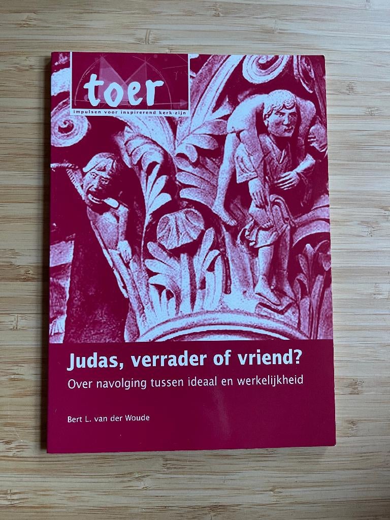 Judas, verrader of vriend? Bert L. van der Woude, Ophalen of Verzenden, Zo goed als nieuw