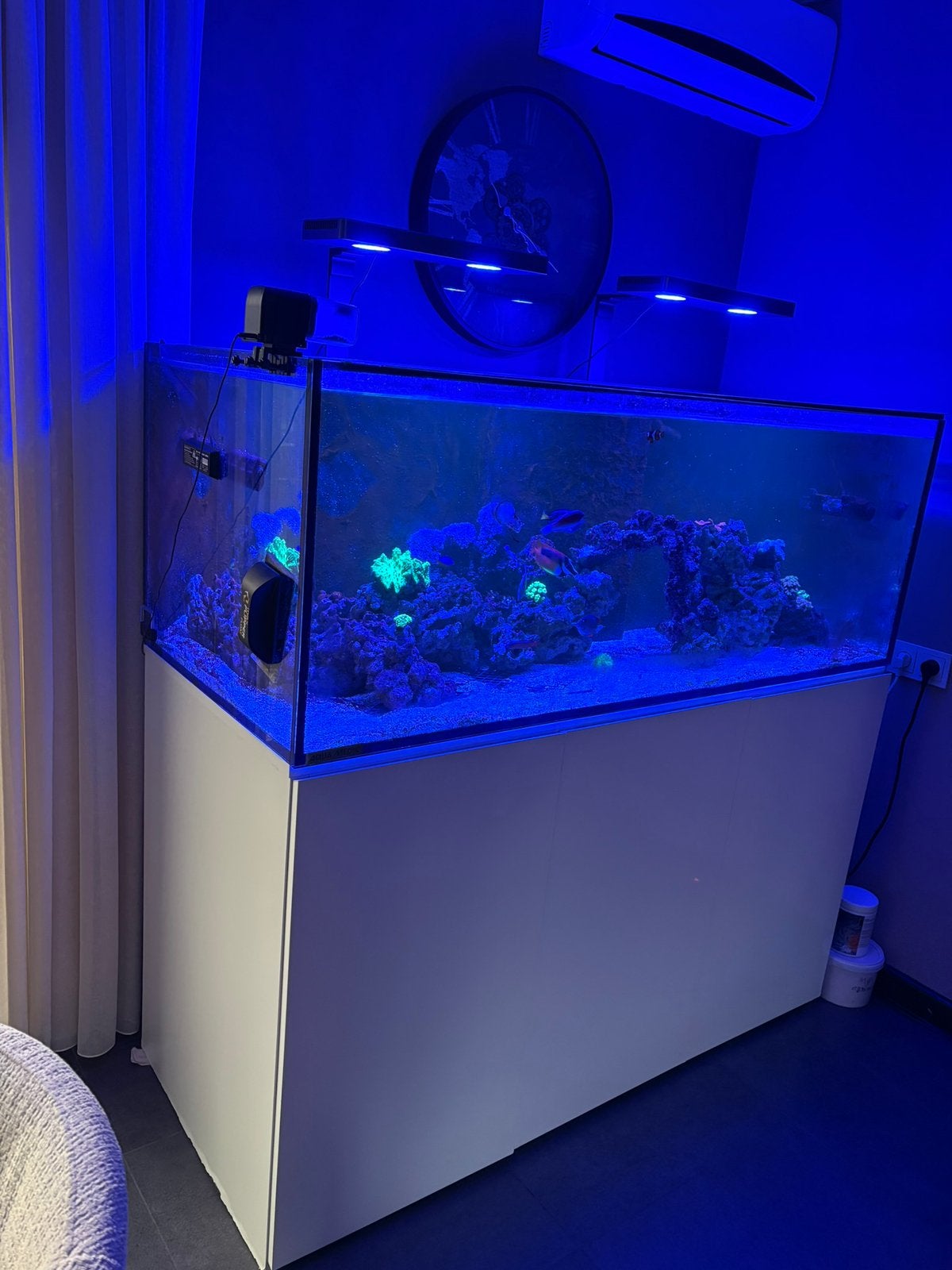 Aquamedic 575xd aquarium inclusief vissen en koraal, Dieren en Toebehoren, Ophalen, Gevuld zeewateraquarium, Gebruikt, Inclusief controller