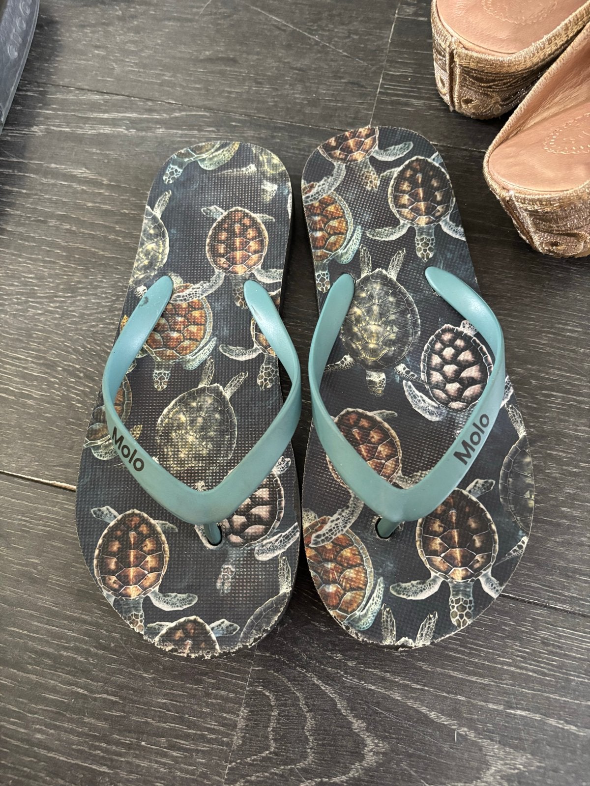 Molo slippers met schildpadprint maat 31/32, Ophalen of Verzenden, Gedragen, Overige kleuren, Slippers