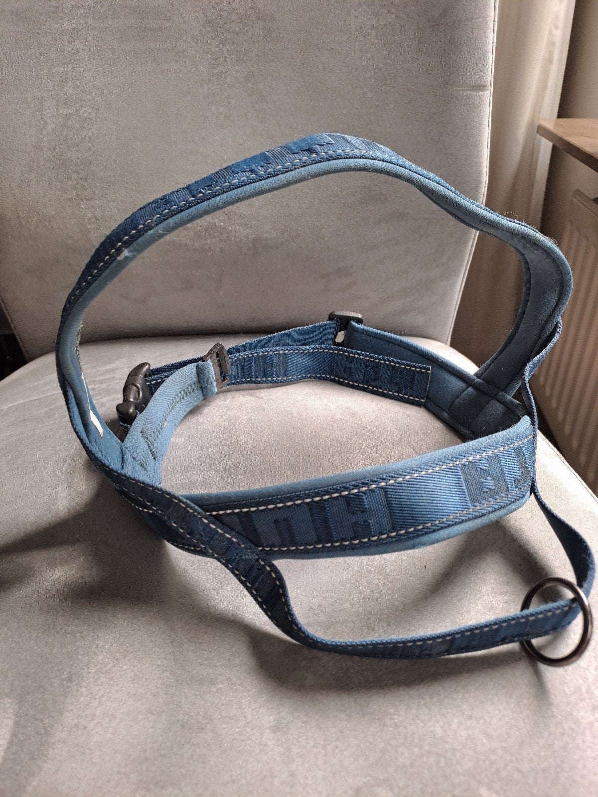 Honden halsband, Dieren en Toebehoren, Ophalen, Gebruikt