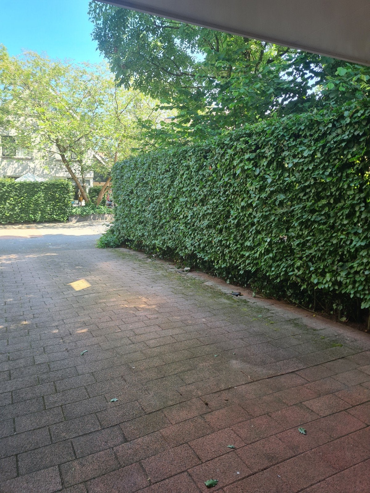 Gebruikte stenen 30x20x6 - ruim 40 vierkante meter, Tuin en Terras, Tegels en Klinkers, Ophalen, Gebruikt, Klinkers, Beton