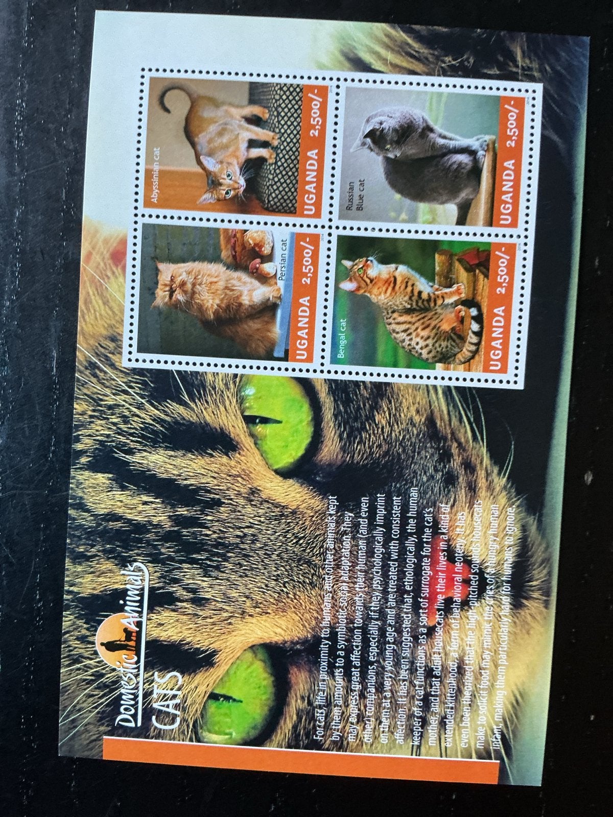 Postzegelvel Oeganda - Katten (Abessijn, Perzisch, Bengaals), Verzenden, Postfris