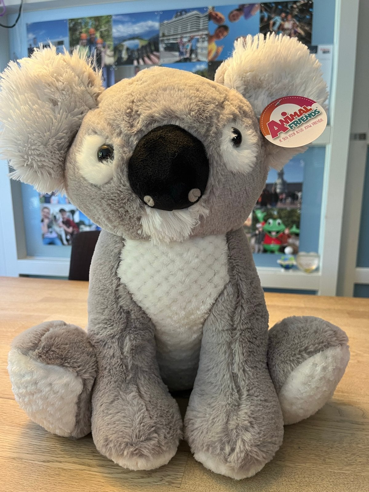 Nieuwe Animal Friends Koala Knuffel 40cm, Ophalen, Overige merken, Overige karakters, Overige typen