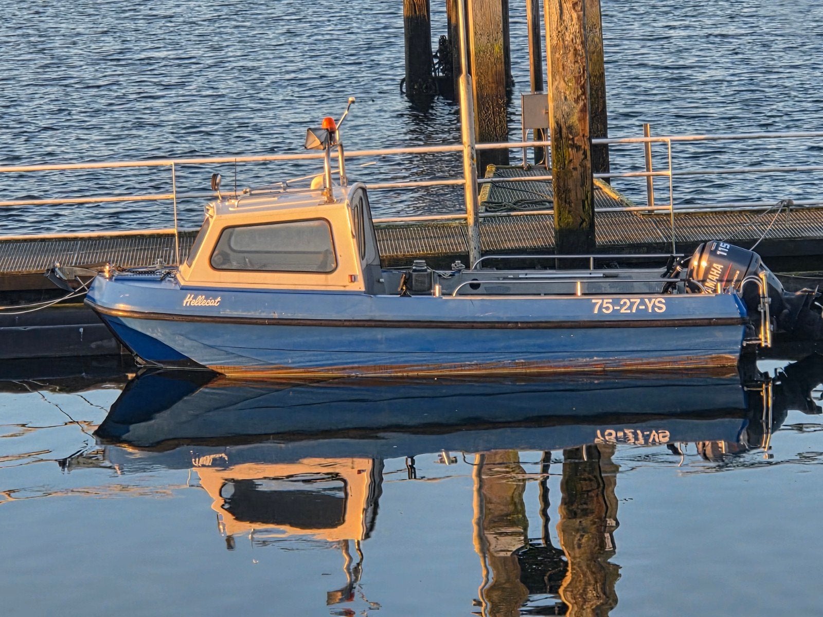 Leuke visboot te koop., Watersport en Boten, Ophalen of Verzenden, Gebruikt, Motor en Techniek, Motorboot
