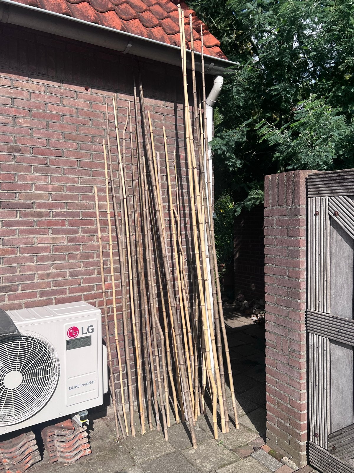 Diverse bamboestokken voor tuin of decoratie, Tuin en Terras, Ophalen, Gebruikt