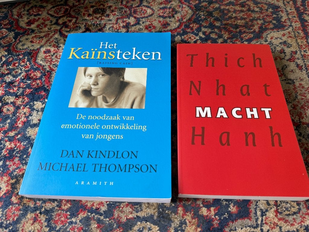 Het Kainsteken Dan Kindlon. Macht Thich Nhat Hanh., Boeken, Achtergrond en Informatie, Spiritualiteit algemeen, Ophalen of Verzenden
