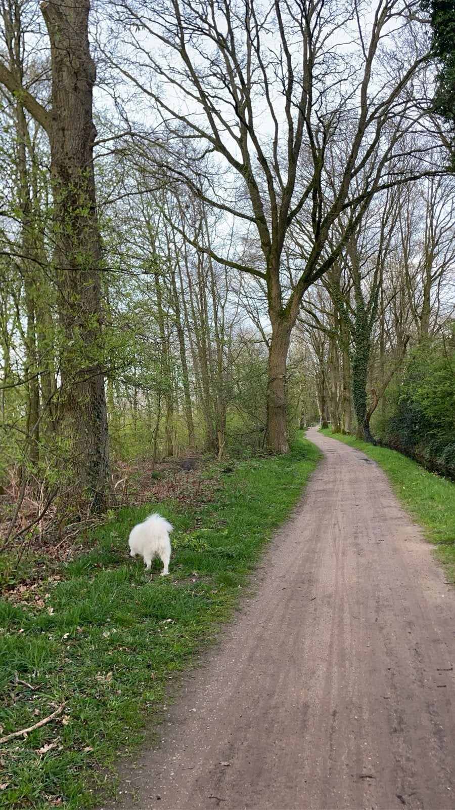Honden oppas in Enschede, Ophalen, Nieuw