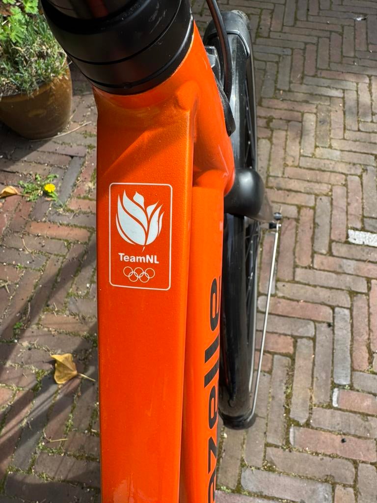 Gazelle Cityzen C7 H53 Team NL collectors item, Fietsen en Brommers, Ophalen, 53 tot 56 cm, Zo goed als nieuw, Gazelle