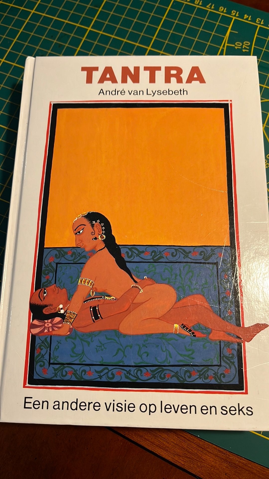Tantra een andere visie op leven en seks, Ophalen of Verzenden, Zo goed als nieuw, Spiritualiteit algemeen, Achtergrond en Informatie