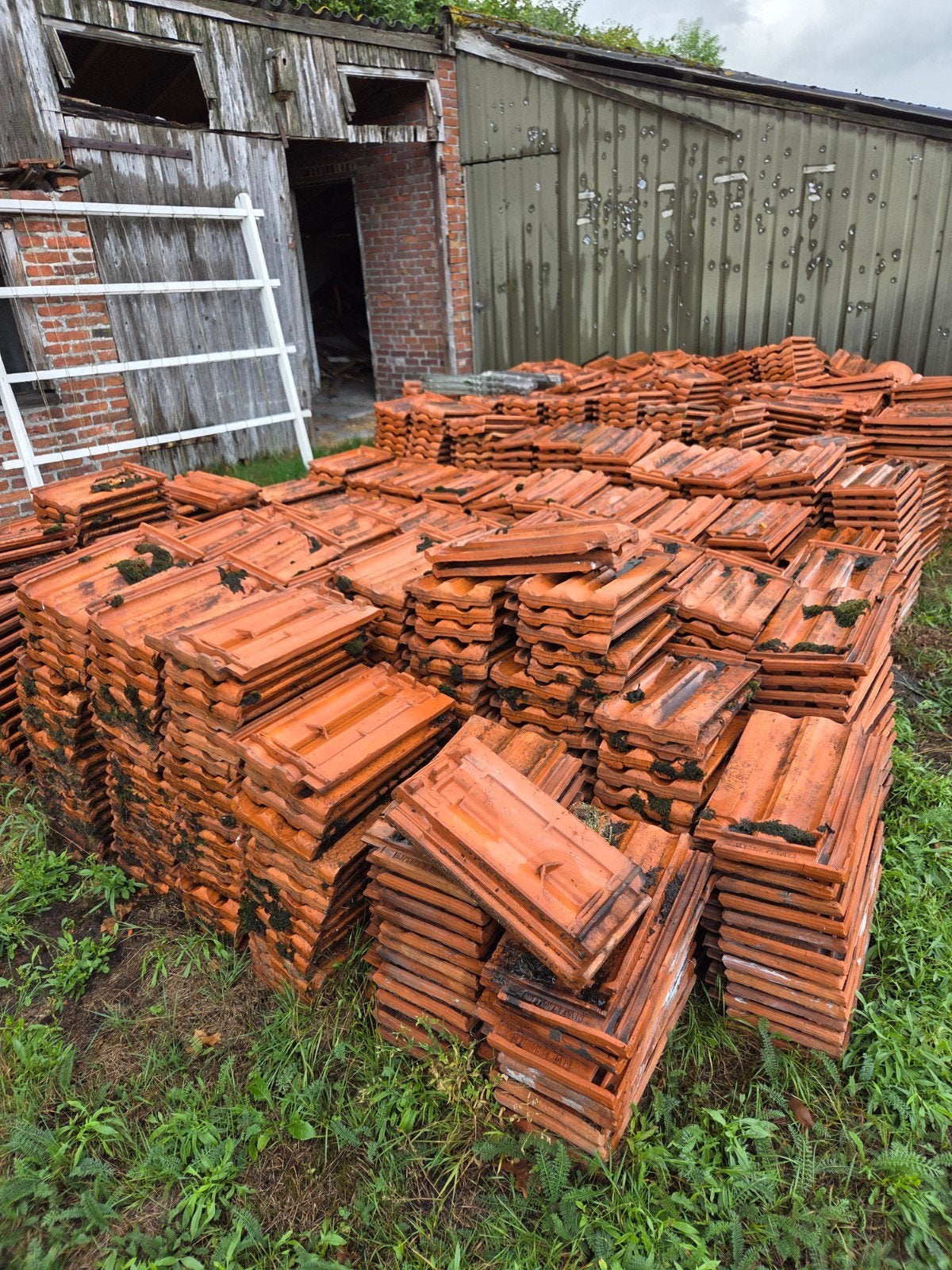 1200 Dakpannen + 44 Nokvorsten – Partij of los te koop, Ophalen, Gebruikt, Steen of Klei, 15 m² of meer