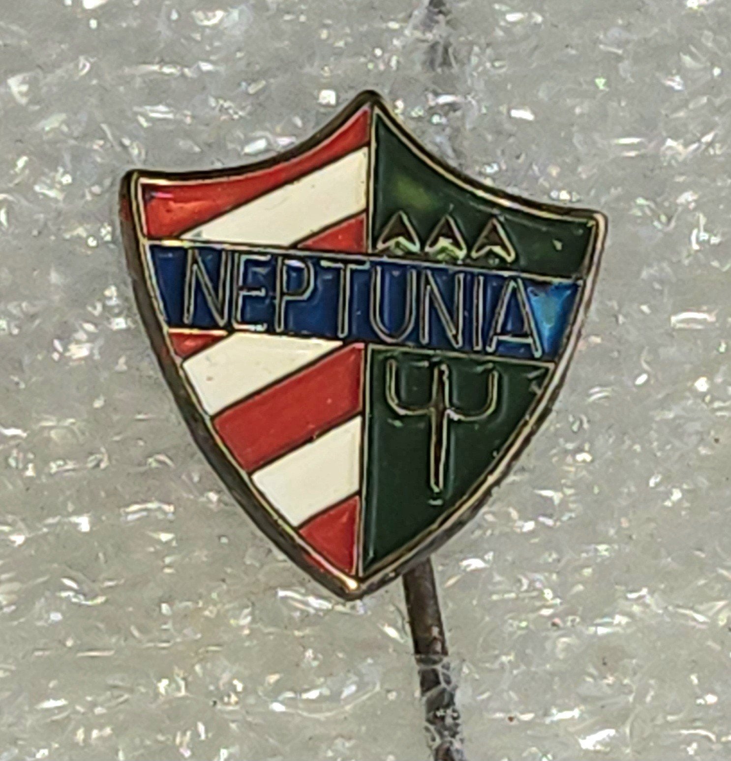 Vintage Speldje Neptunia Delfzijl, Ophalen of Verzenden, Gebruikt, Sport, Speldje of Pin