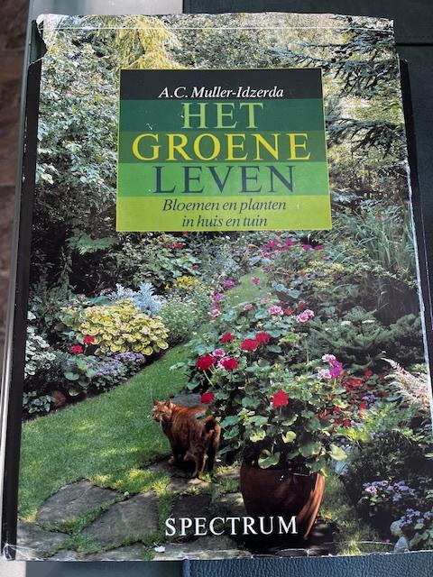 Het Groene Leven , Bloemen en Planten, Tuin en Terras, Planten | Tuinplanten, Vaste plant, Overige soorten, Halfschaduw, Zomer
