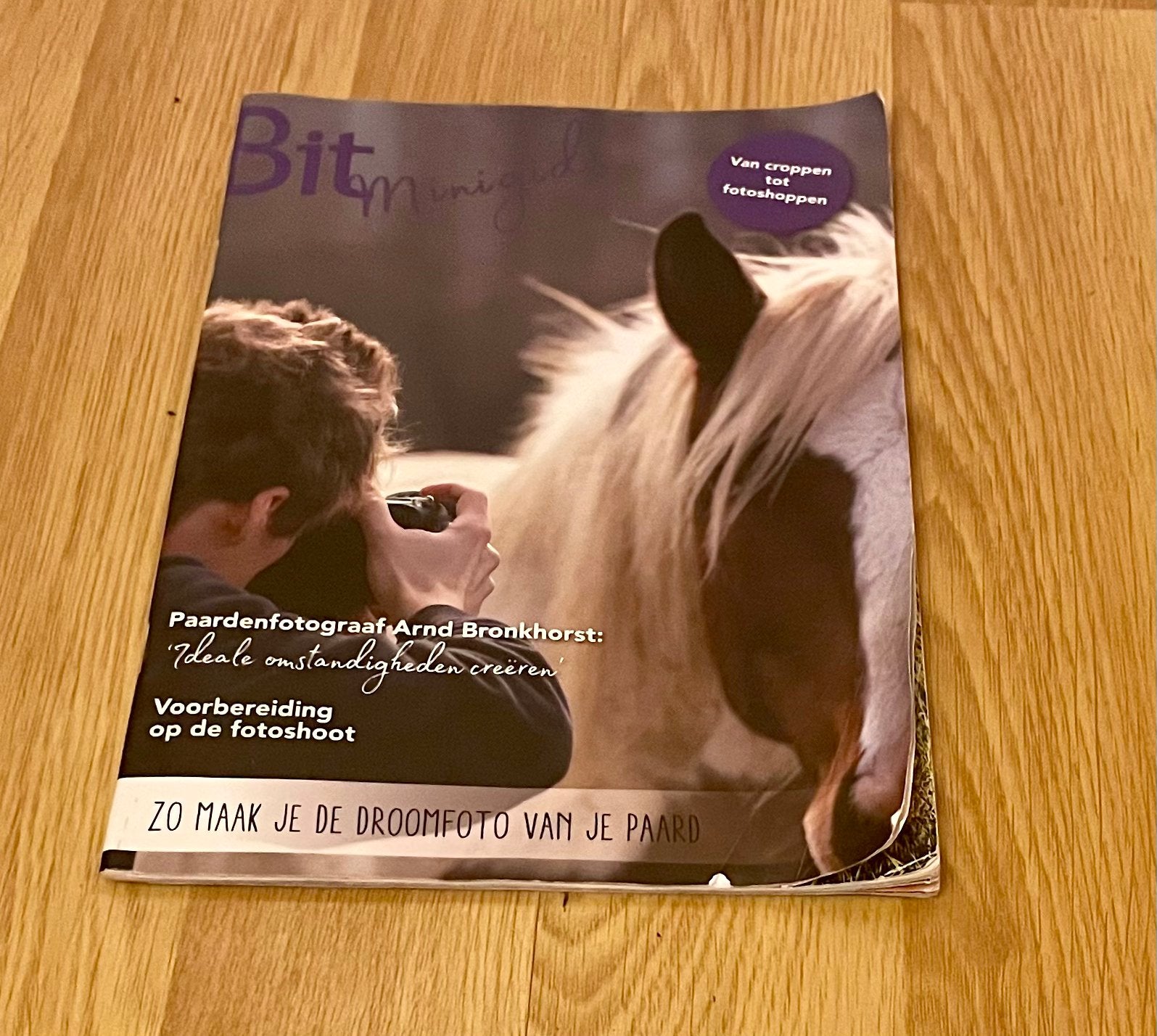Bit minigids over paarden fotografie uit 2019 goede staat, Boeken, Tijdschriften en Kranten, Ophalen of Verzenden, Zo goed als nieuw