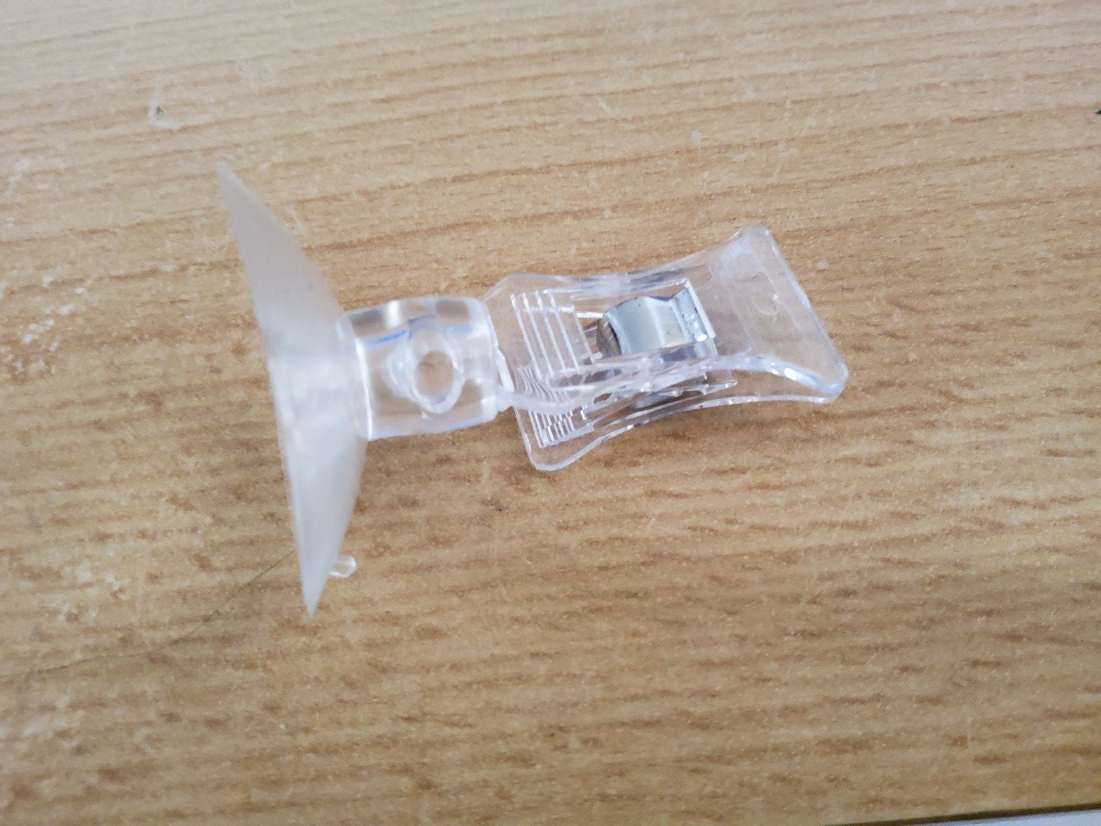 Zeewierclip / Voederclip voor zeeaquarium, Dieren en Toebehoren, Ophalen of Verzenden, Nieuw