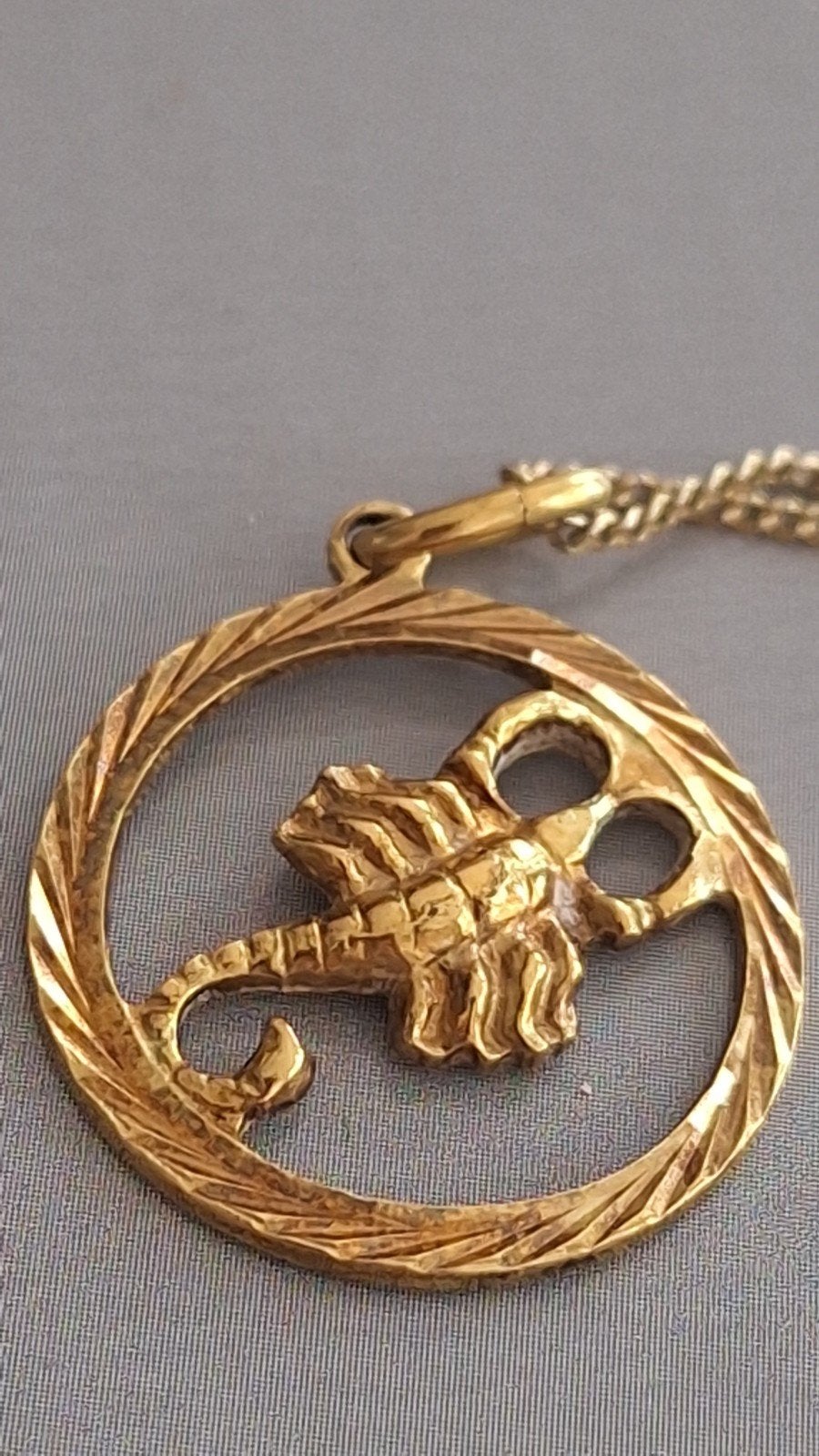 Zodiac Doublé hanger schorpioen Amerikaner ketting, Ophalen of Verzenden, Gebruikt, Goud, Overige materialen