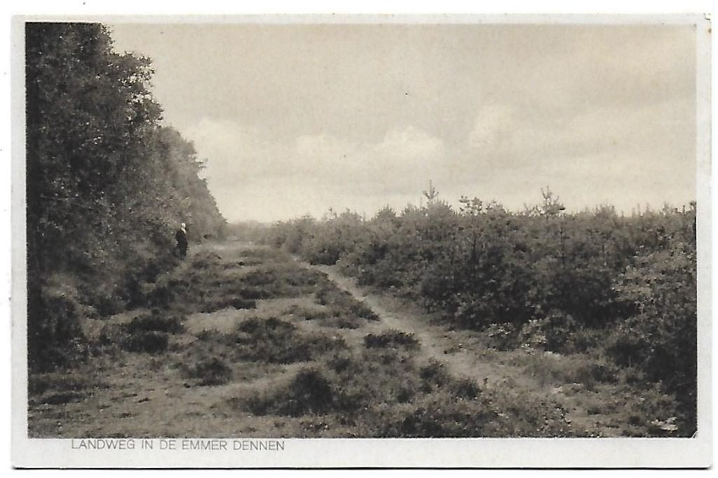 Emmerdennen Landweg ongelopen ansichtkaart (B1362), Ophalen of Verzenden, 1980 tot heden, Gelopen
