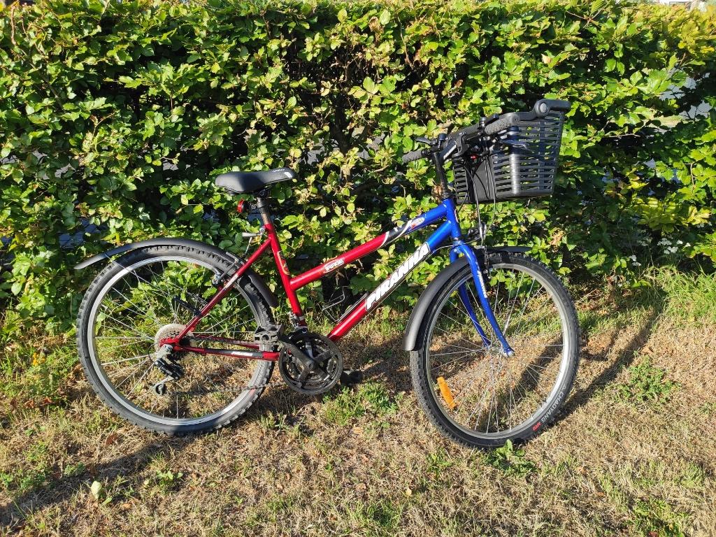 Girl Mountain Bike – Shimano Gears, Lights & Basket – Leiden, Terugtraprem, Gebruikt, Versnellingen, Minder dan 47 cm