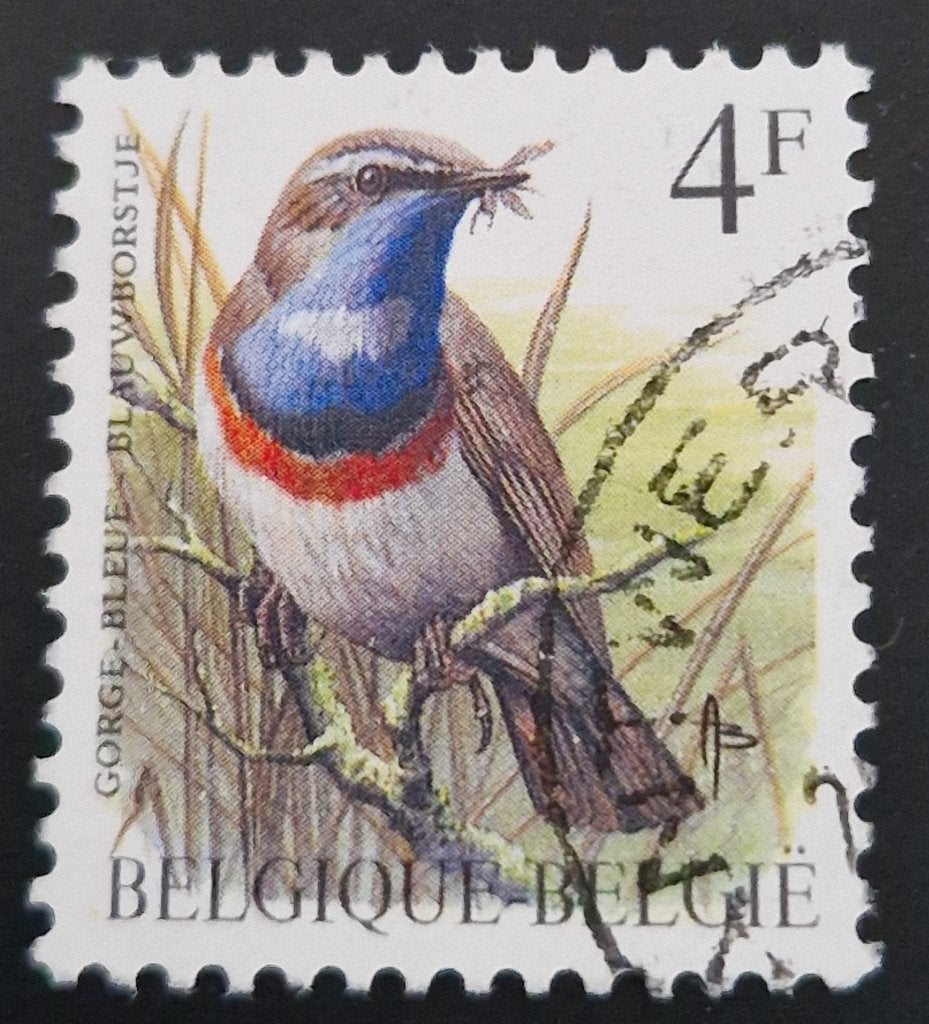 België 1989 - OBP 2321 - Buzin Vogel Blauwborstje, Frankeerzegel, Ophalen of Verzenden, Gestempeld, Gestempeld