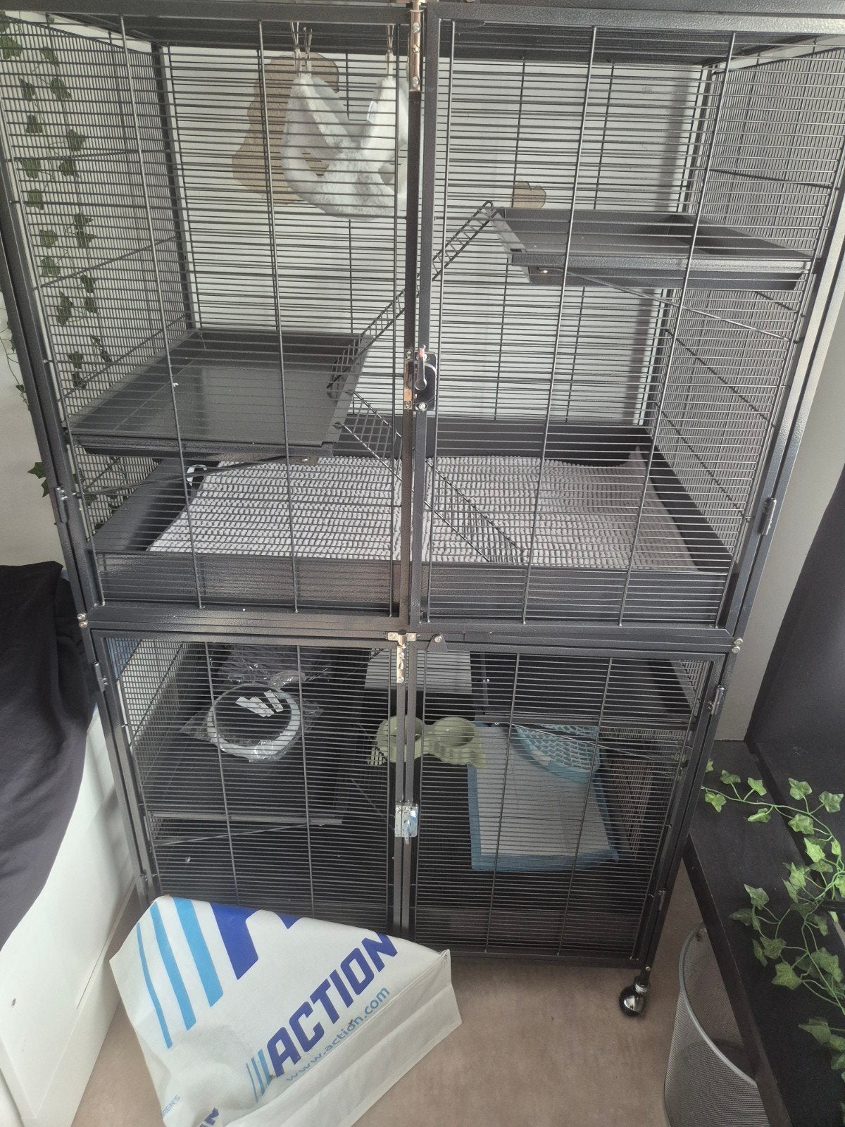 Knaagdieren kooi. Helemaal nieuw, Ophalen, Kooi, 110 cm of meer, Hamster