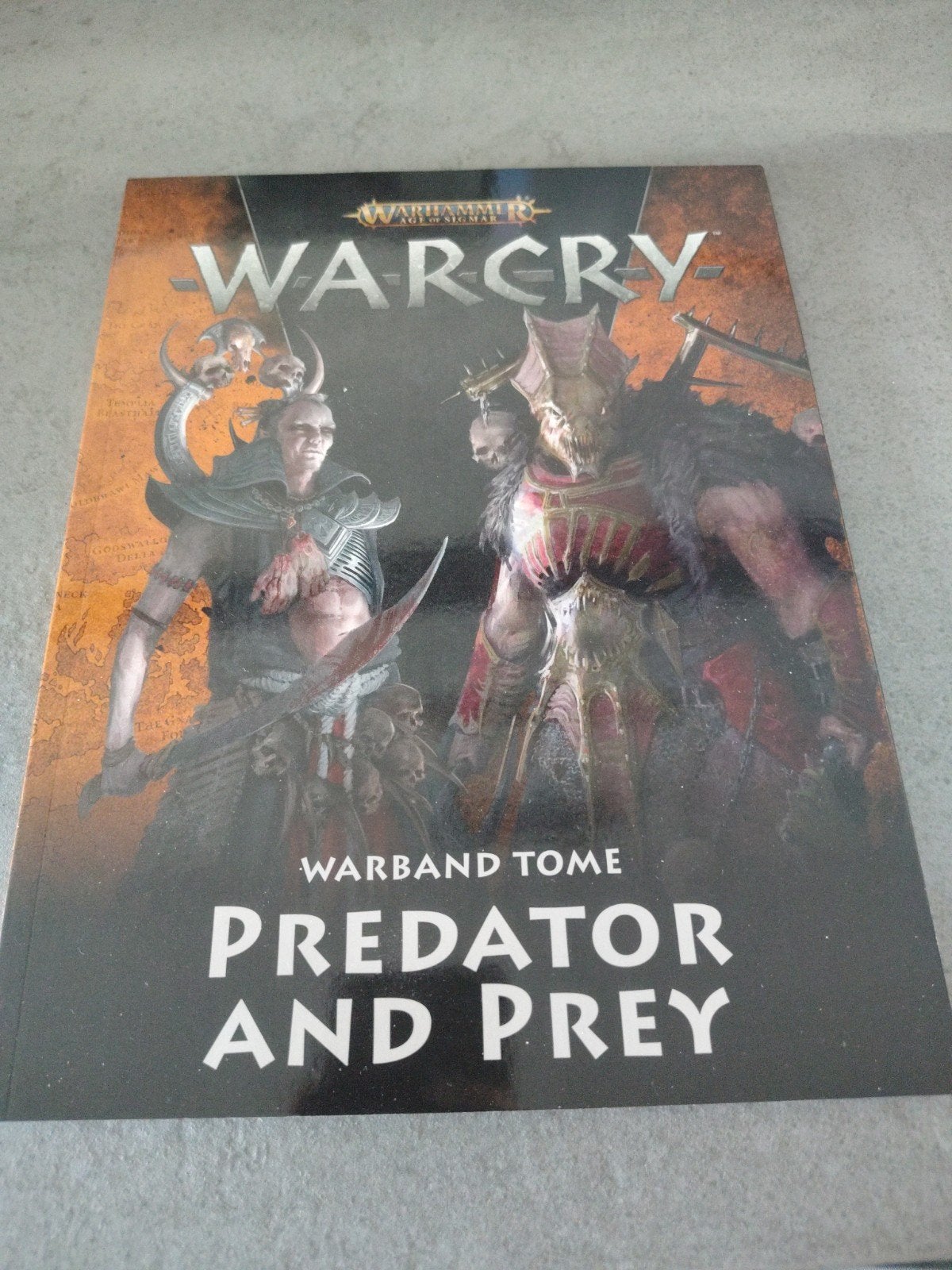 Warhammer warcry boek 2, Ophalen of Verzenden, Zo goed als nieuw, Warhammer, Boek of Catalogus