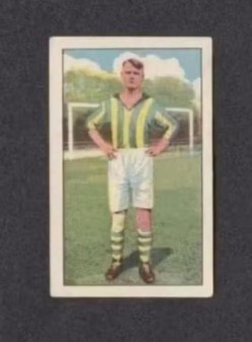 Voetbalplaatje Van Pelt NOAD Tilburg (99)., Ophalen of Verzenden, Zo goed als nieuw