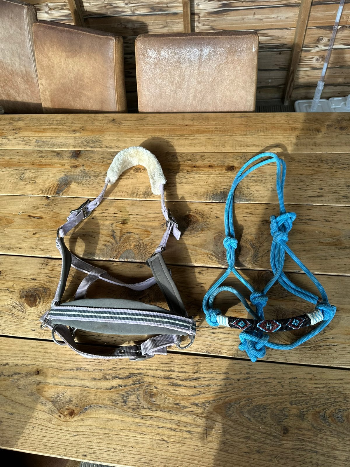 Halsters maat cob, Ophalen of Verzenden, Zo goed als nieuw, Cob