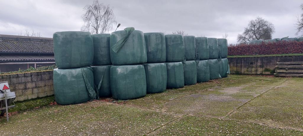 Ronde balen Natuurhooi, Dieren en Toebehoren, Dierenvoeding, Ophalen, Vee