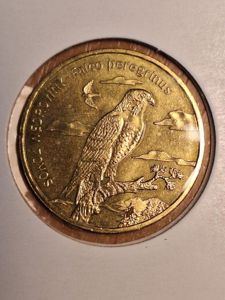 POLEN 2 zlote 2008, Falco (#99), Ophalen of Verzenden, Polen, Losse munt