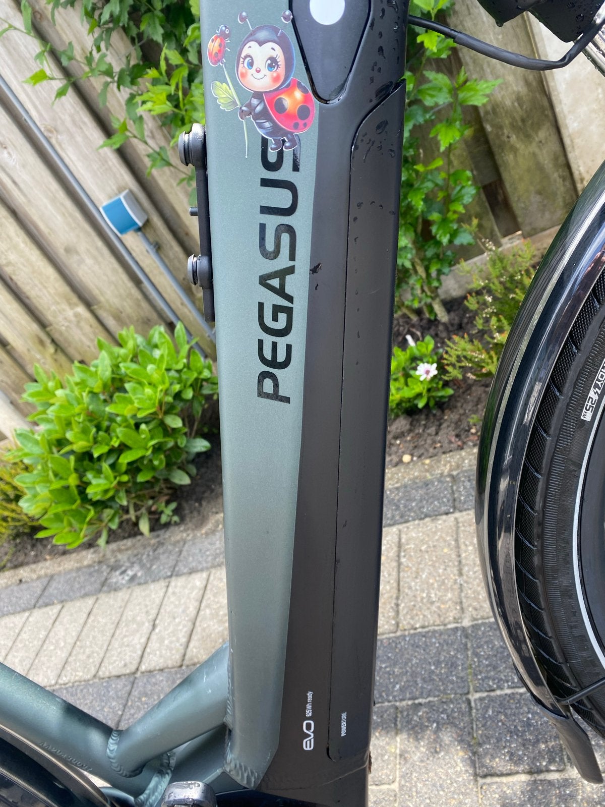 Pegasus Ravenna EVO 8F elektrische fiets, frame 50, Fietsen en Brommers, Overige merken, Ophalen of Verzenden, Zo goed als nieuw