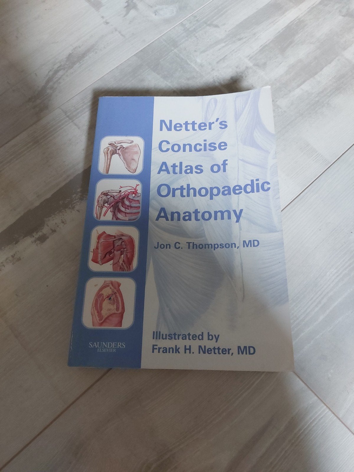 Netter's Concise Atlas of Orthopaedic Anatomy, Ophalen of Verzenden, Jon C. Thompson, MD, Beta, WO