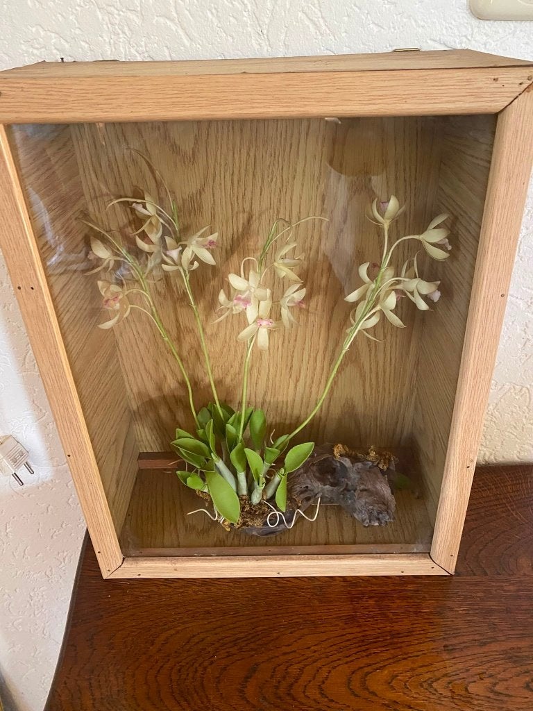 Bloem in kistje, Ophalen
