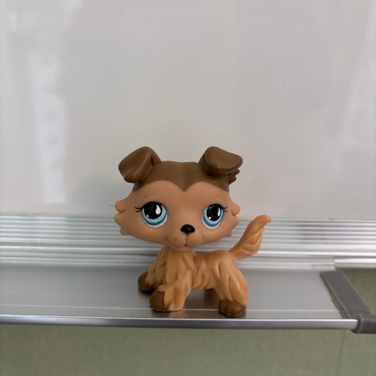 LPS Littlest Pet Shop Collie 893 authentic Main 5, Ophalen, Gebruikt