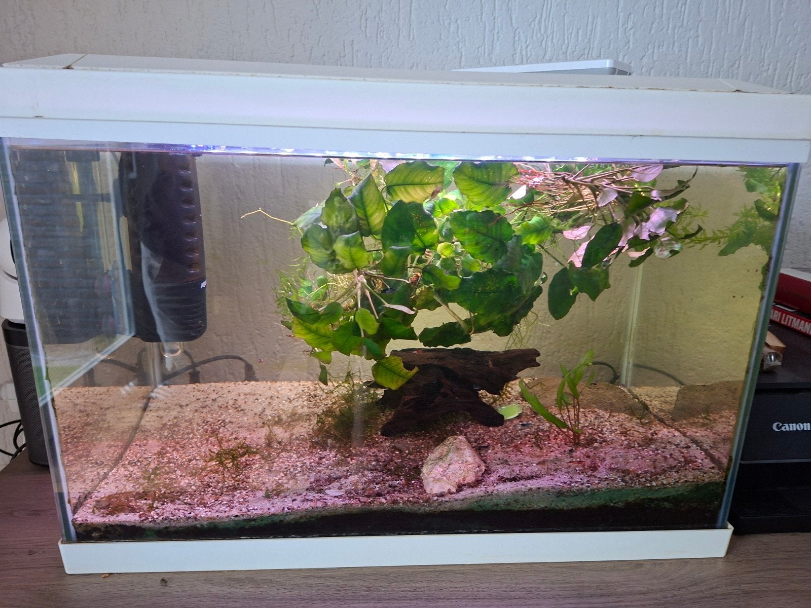 leuk aquarium, Dieren en Toebehoren, Ophalen, Zo goed als nieuw