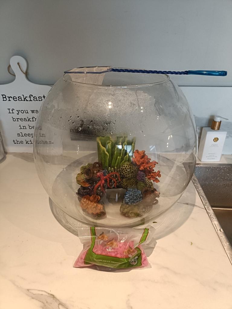 Grote ronde vissenkom met toebehoren, Ophalen, Zo goed als nieuw, Leeg aquarium