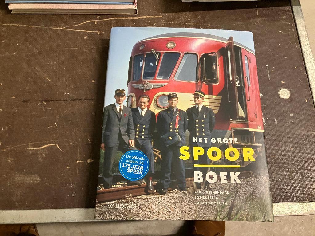 trein spoorwegen NS stations, Ophalen of Verzenden, Zo goed als nieuw, Guus Veenendaal, Trein