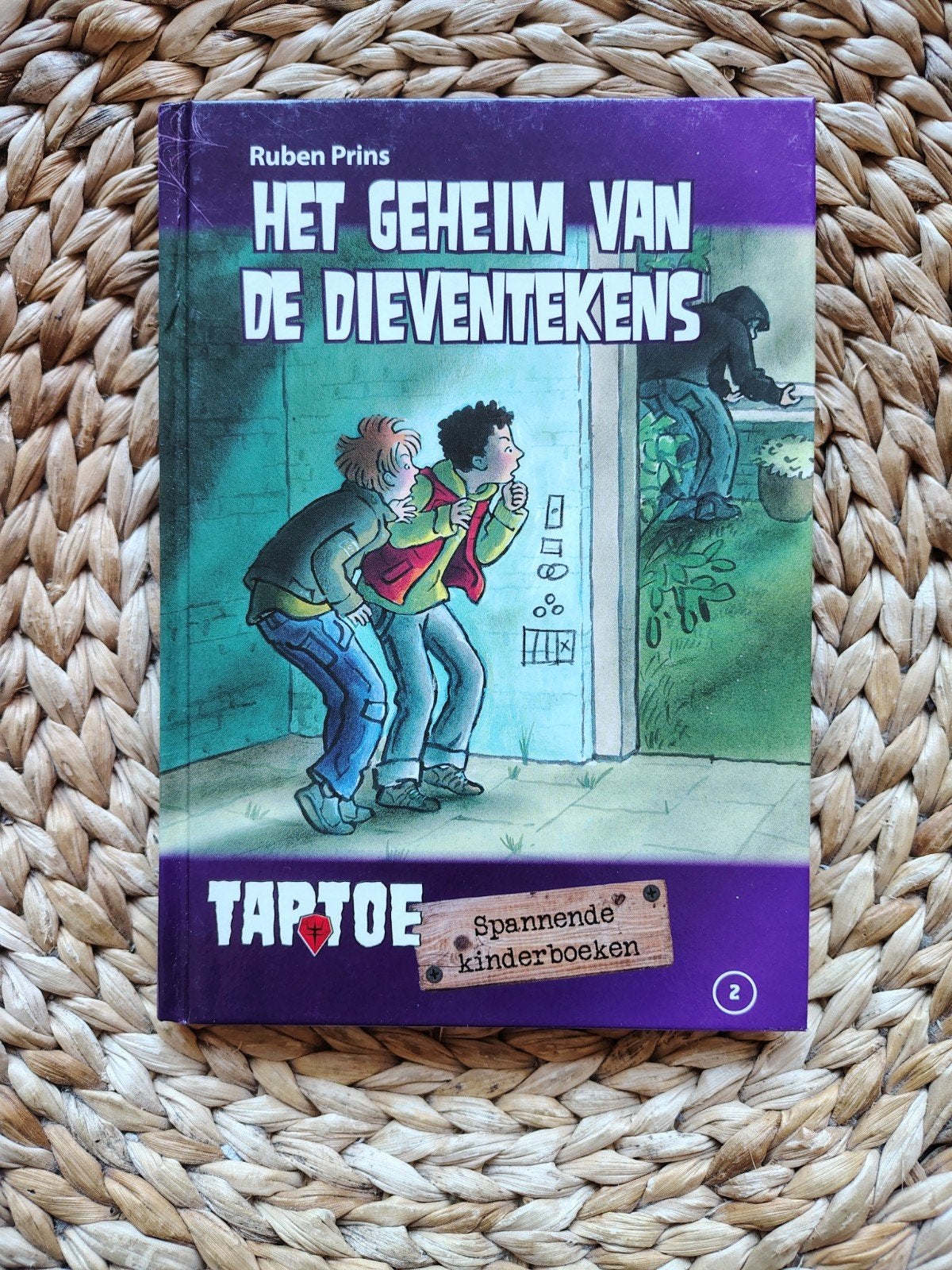 Ruben Prins - Het geheim van de dieventekens, Boeken, Ophalen of Verzenden, Zo goed als nieuw, Fictie algemeen
