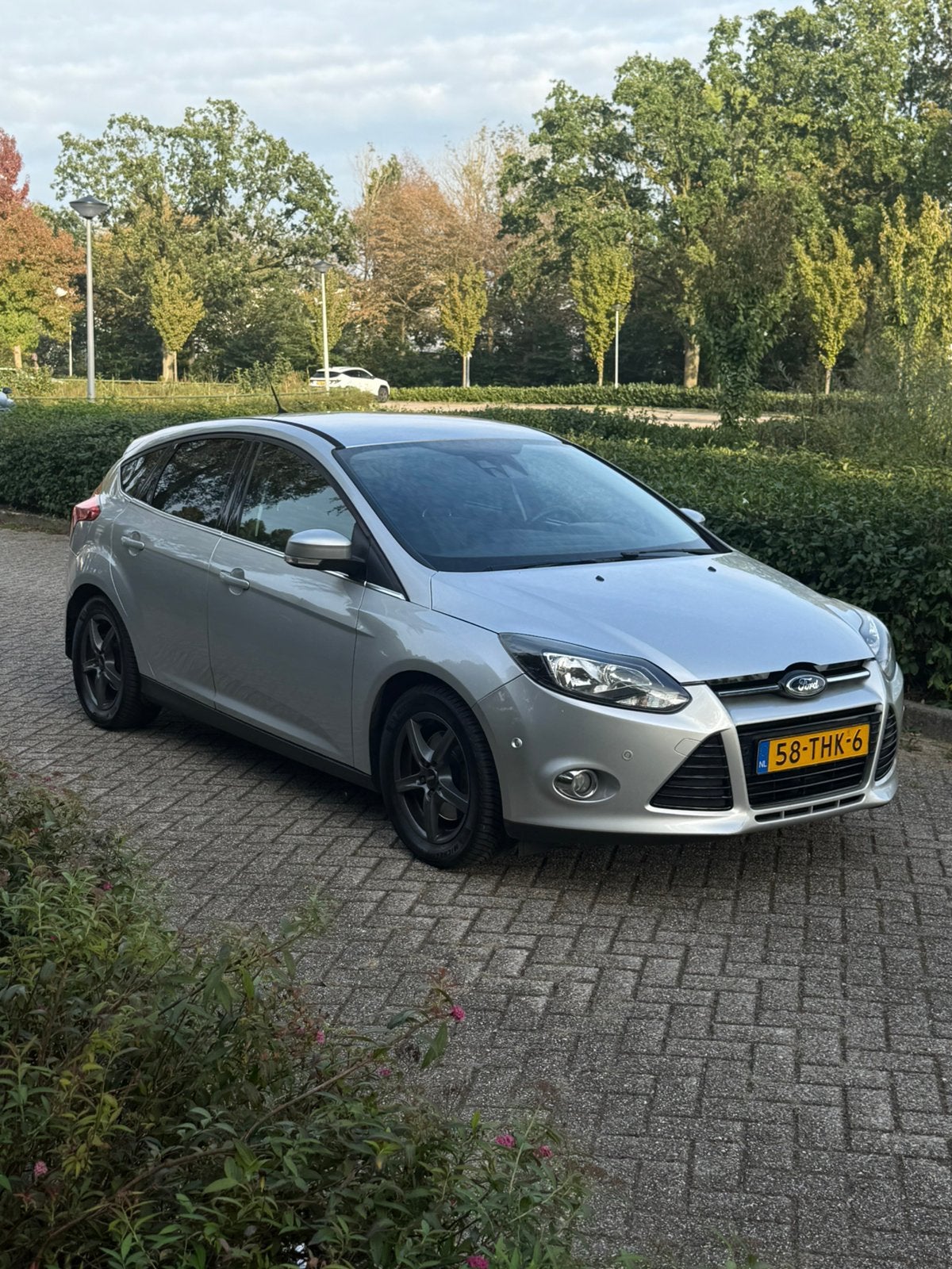 Ford Focus 1.6 Grijs 150pk Trekhaak Navigatie Leer Cruise, Zwart, 4 cilinders, Bedrijf, Handgeschakeld