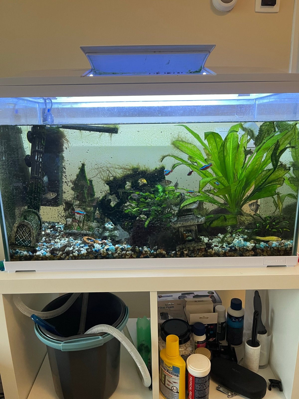 Superfish aquarium 100L met vissen ZO SNEL MOGELIJK WEG, Ophalen, Gebruikt, Gevuld zoetwateraquarium, Inclusief controller