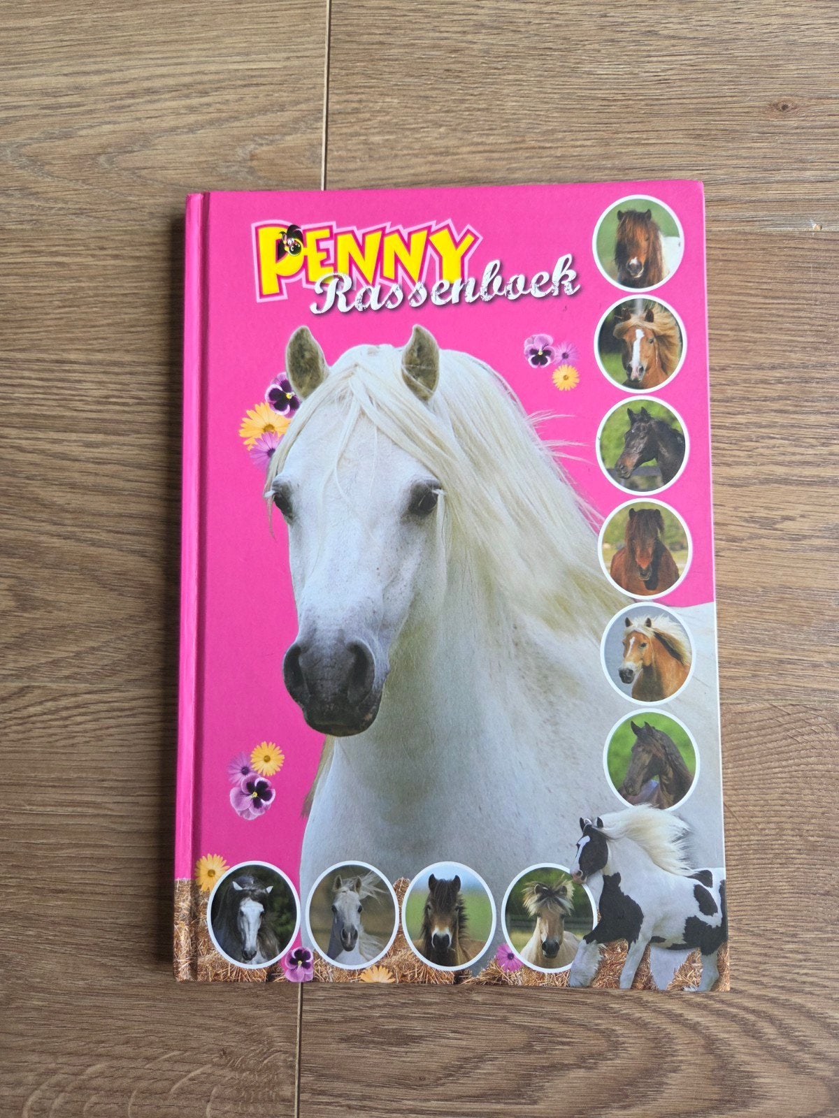 Penny Rassenboek Paarden en Pony's, Ophalen of Verzenden, Zo goed als nieuw, Paarden of Pony's, Holco Publications