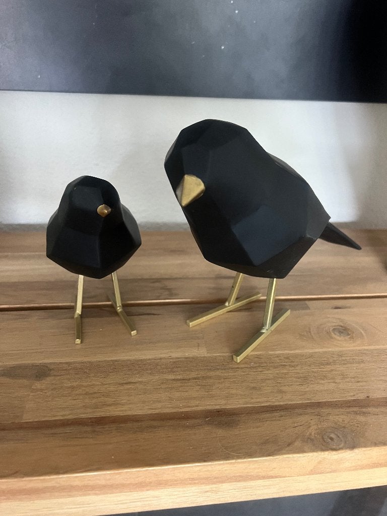 Leuke vogelset, Huis en Inrichting, Woonaccessoires | Overige, Ophalen of Verzenden, Nieuw, Zwart