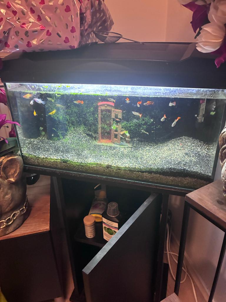Aquarium, Ophalen, Verwarming, Zo goed als nieuw, Leeg aquarium