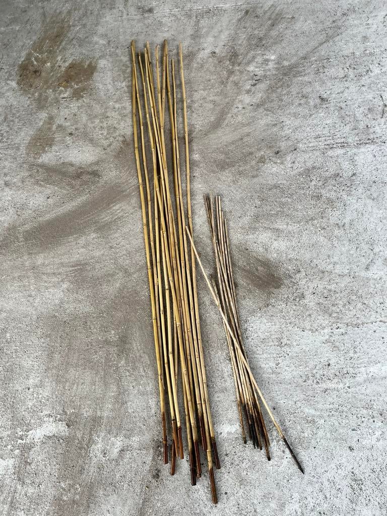 Bamboestokken, Tuin en Terras, Palen, Balken en Planken, Ophalen, Zo goed als nieuw, Minder dan 180 cm, Palen
