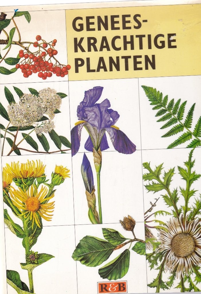 Geneeskrachtige planten, Boeken, Ophalen of Verzenden, Zo goed als nieuw, Kruiden en Alternatief