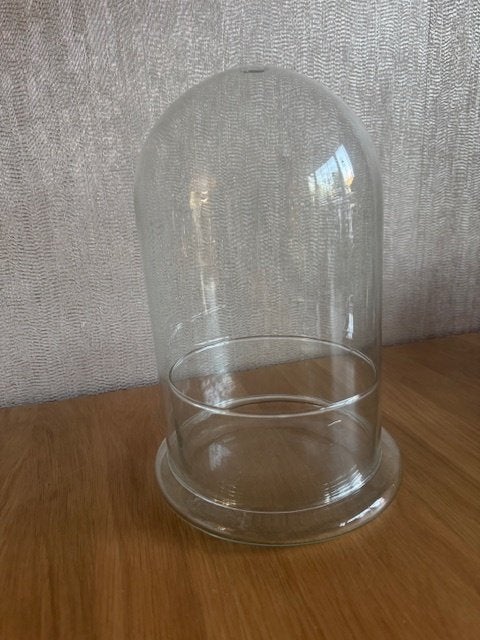 Glazen stolp, Antiek en Kunst, Ophalen