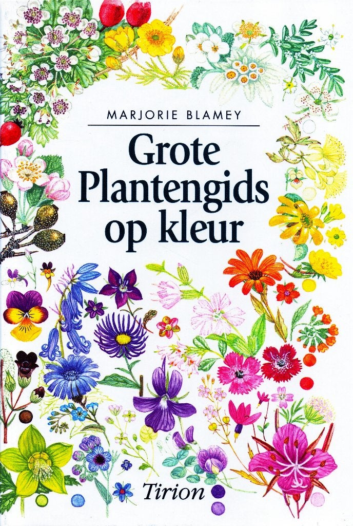 Grote Plantengids op Kleur - Marjorie Blamey 9789052102443, Boeken, Bloemen, Planten en Bomen, Marjorie Blamey, Ophalen of Verzenden