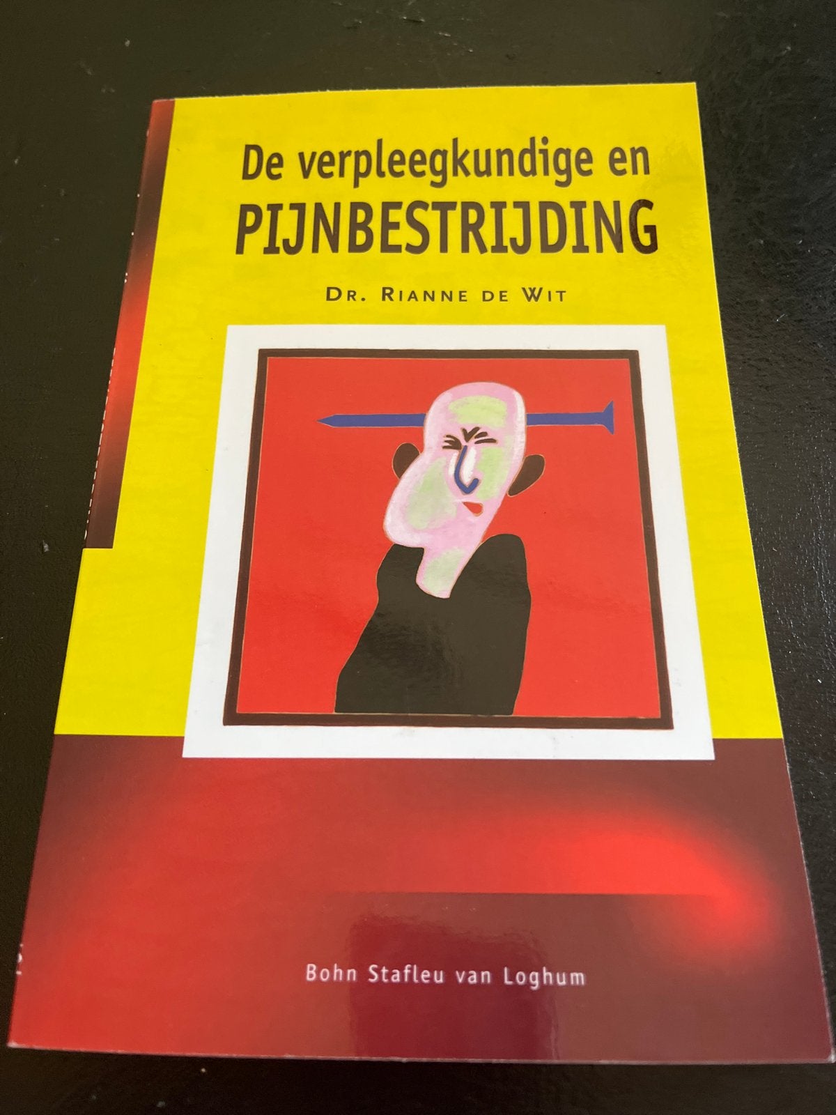 De verpleegkundige en pijnbestrijding - Rianne de Wit, Ophalen, Gamma, Zo goed als nieuw, HBO